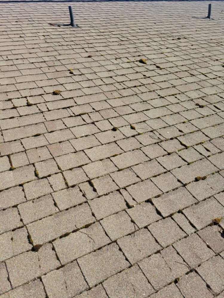 Slide of Whidbey Roofing