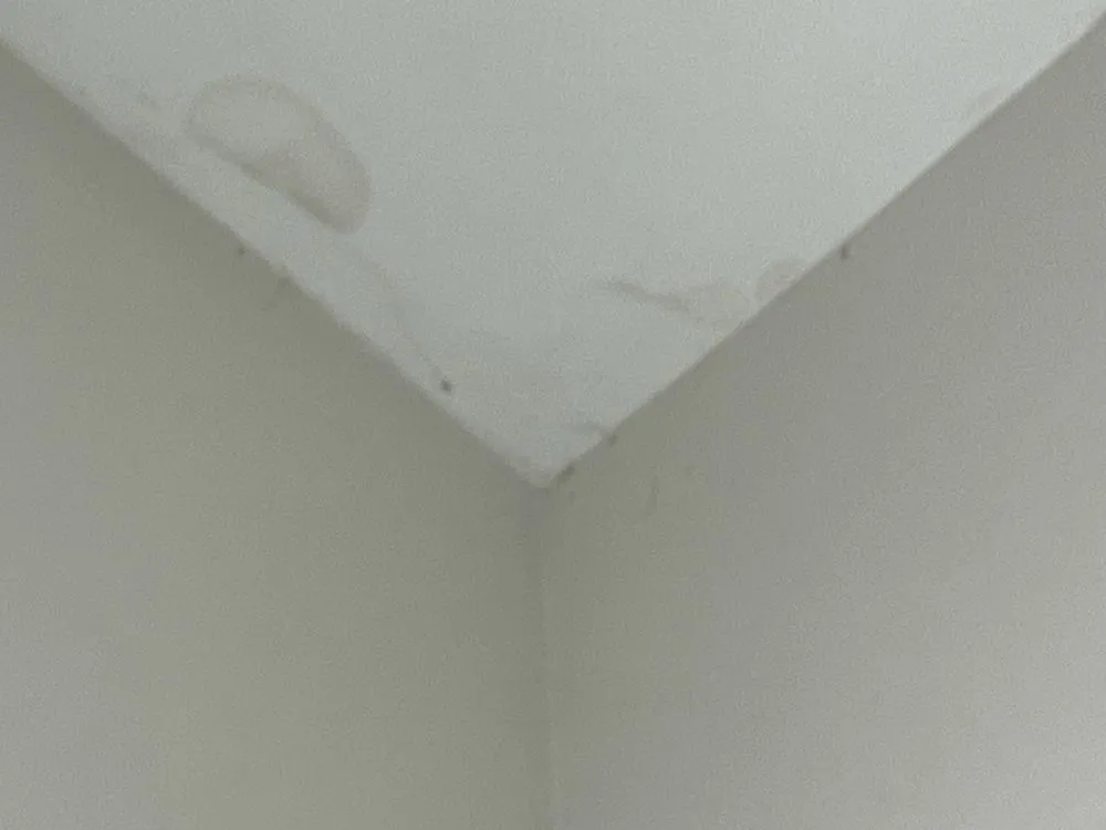 Slide of Whitaker roofing company