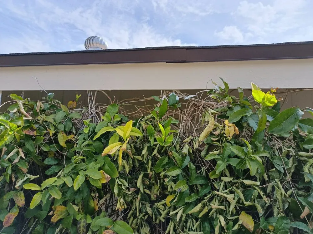 Slide of White & Son’s Home Improvements