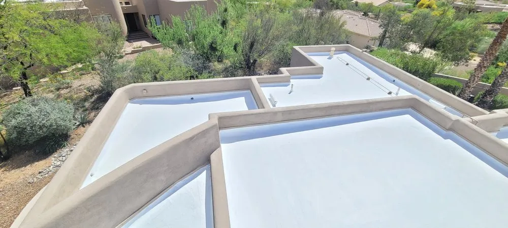 Slide of White Coat Pros