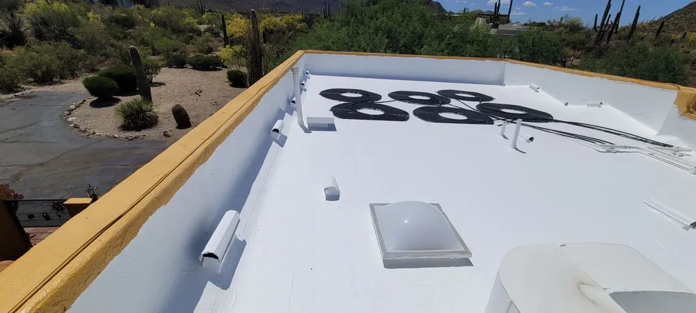 Slide of White Coat Pros