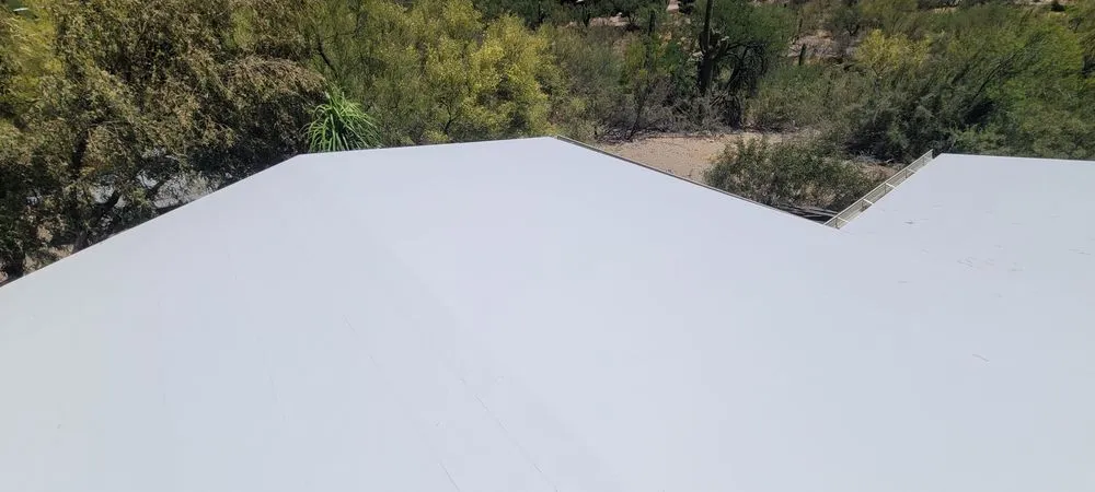 Slide of White Coat Pros