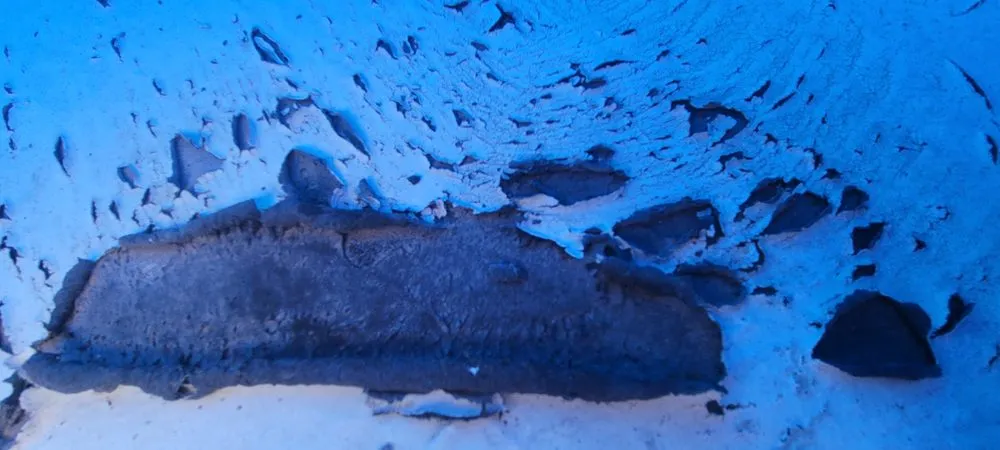 Slide of White Coat Pros