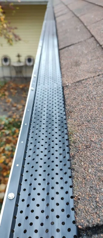 Slide of White Pine Renovation