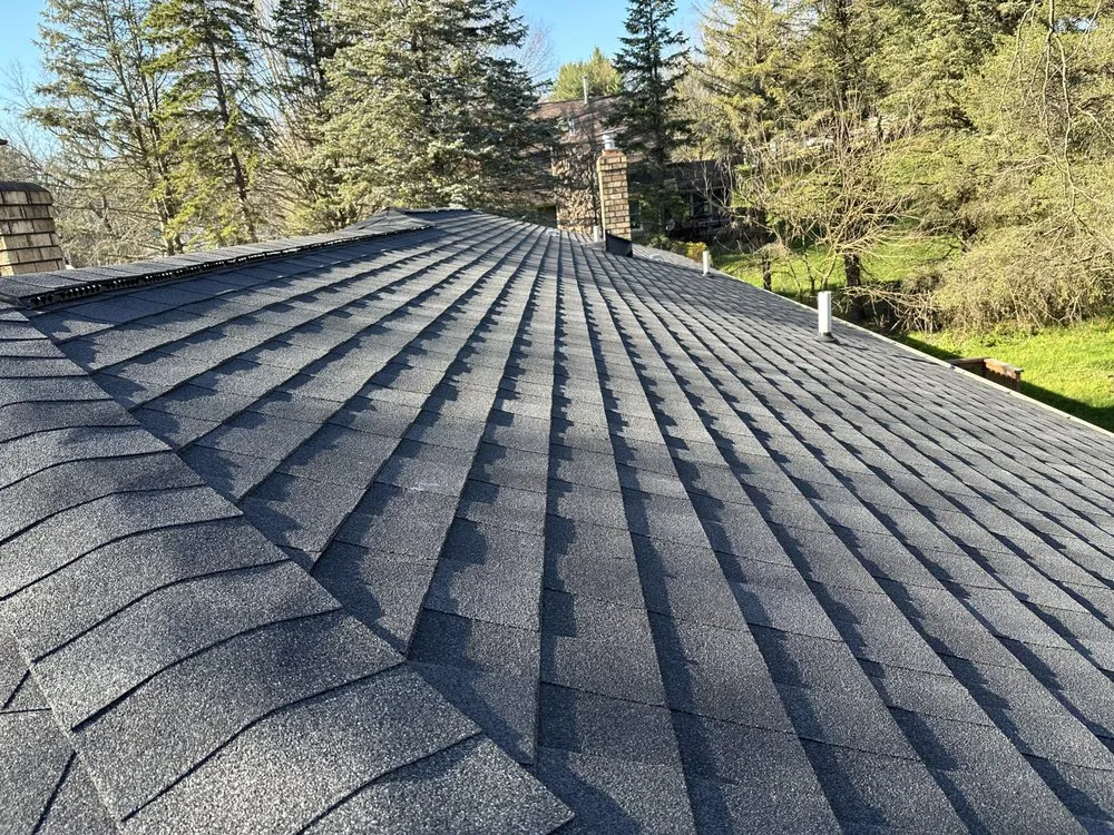 Slide of White Pine Renovation