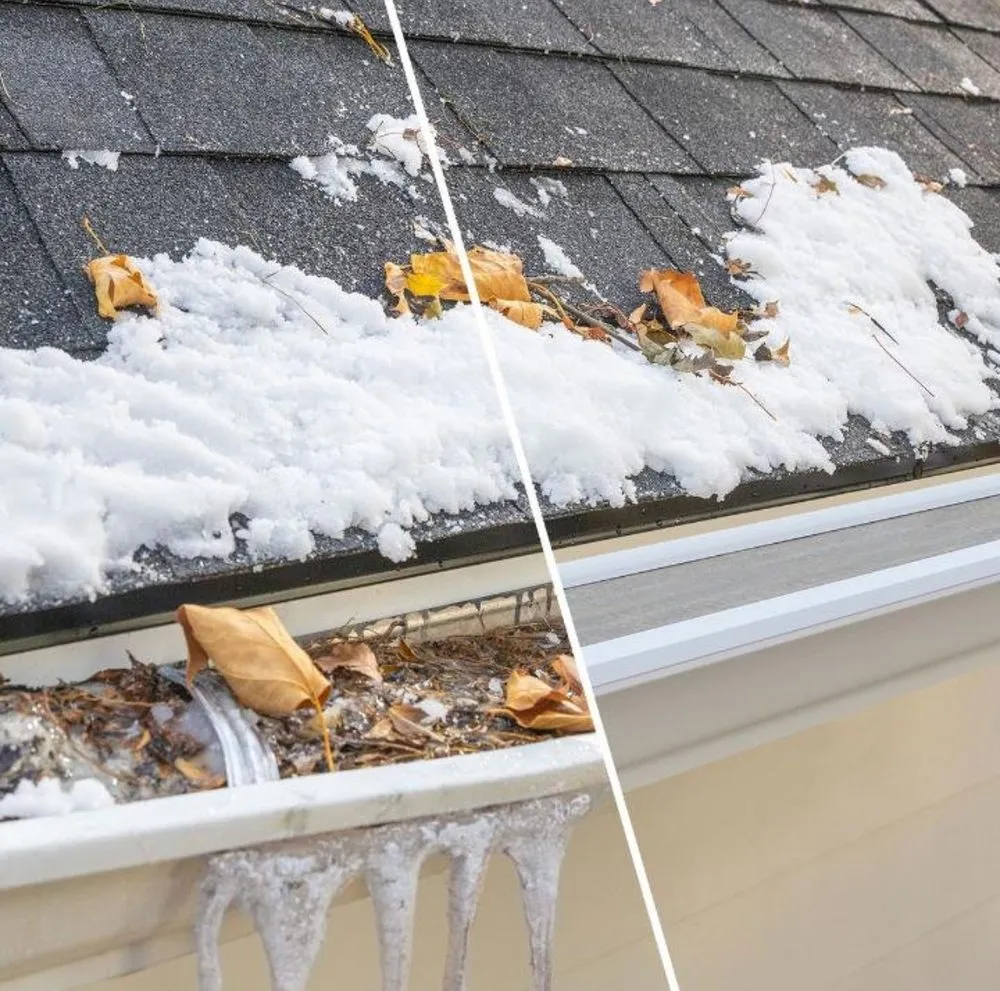 Slide of White Pine Renovation