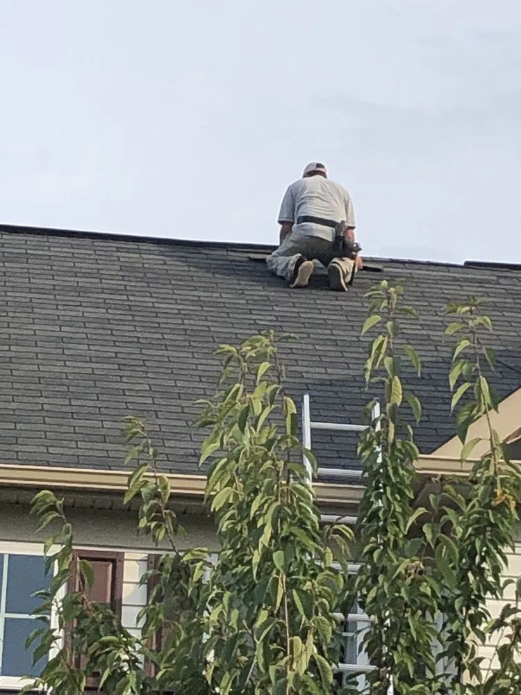 Slide of White Rhino Construction