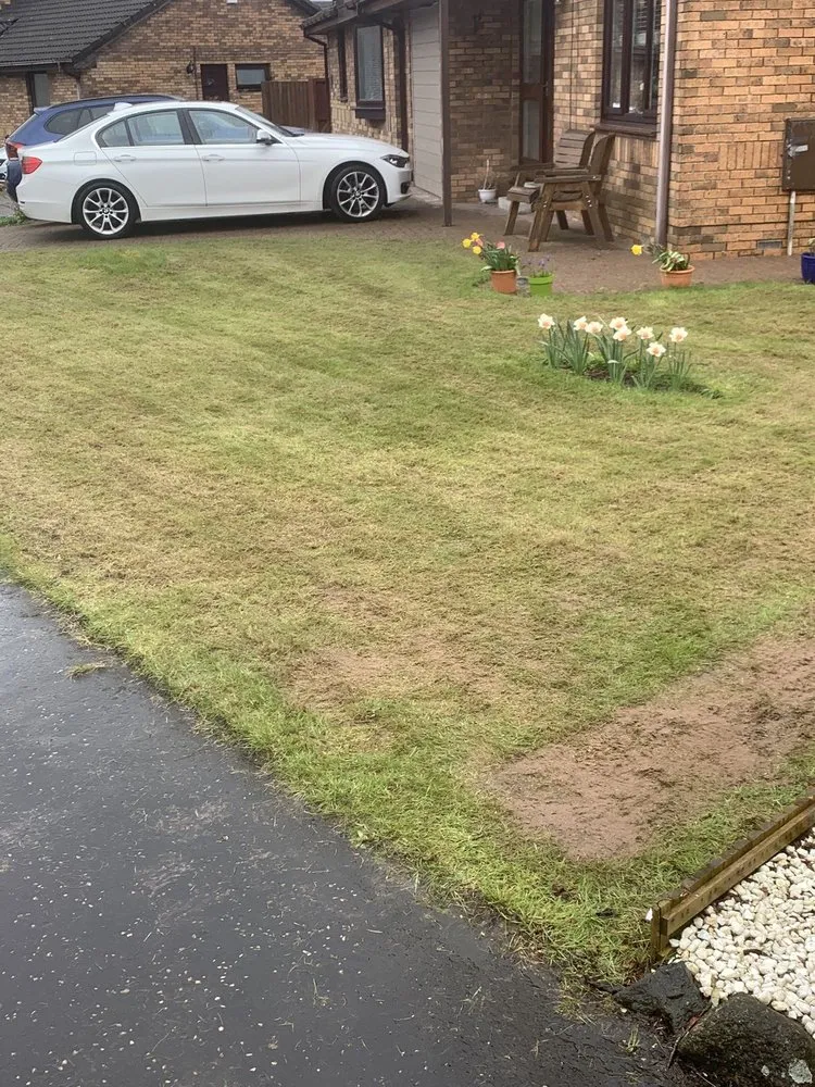 Slide of WhiteCz Lawncare and Cleaning 