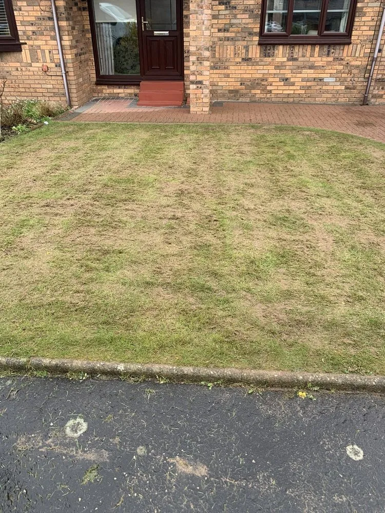 Slide of WhiteCz Lawncare and Cleaning 