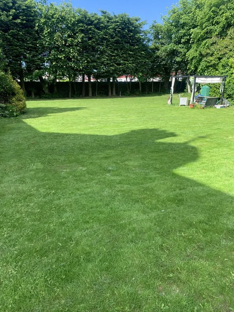 Slide of WhiteCz Lawncare and Cleaning 