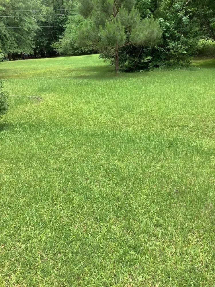 Slide of WhiteCz Lawncare and Cleaning 