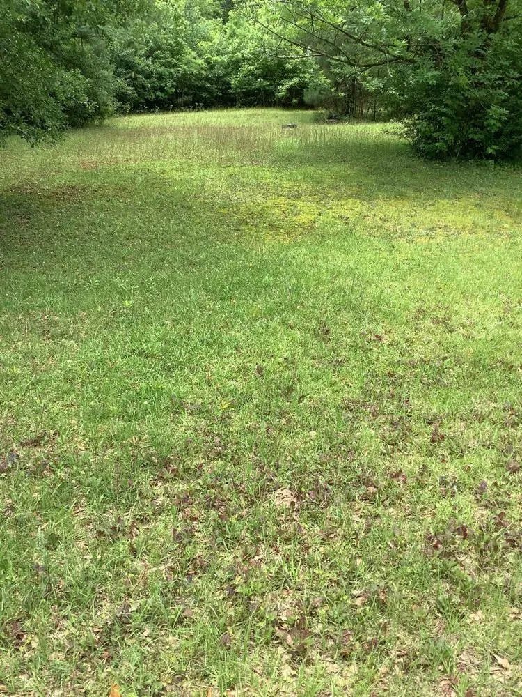 Slide of WhiteCz Lawncare and Cleaning 