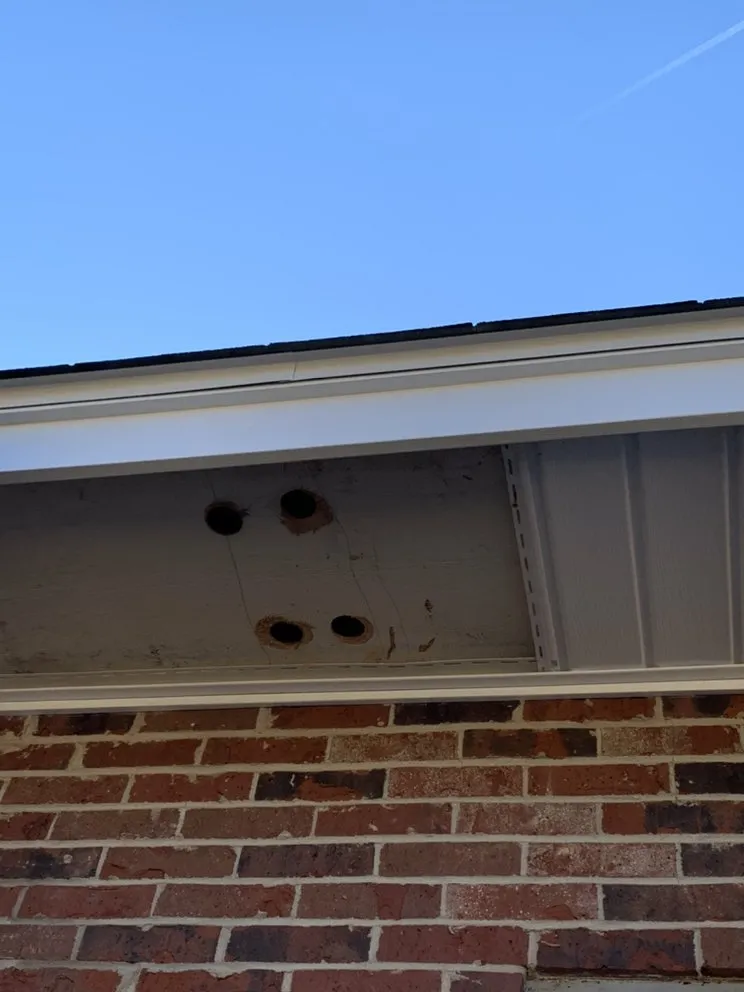 Reliable roof installation in Appling, GA by Whitetail Home Improvements & Seamless Gutters
