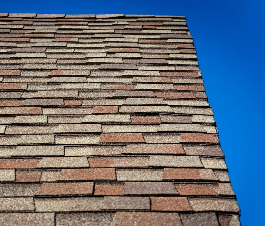 Slide of Whiting Company