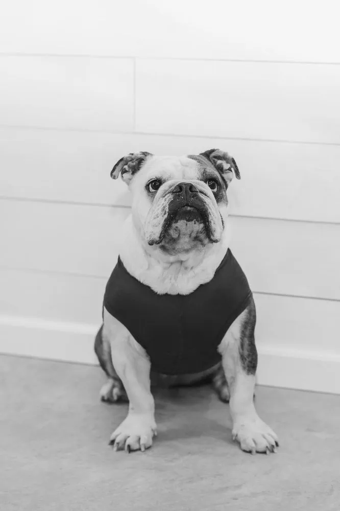 Slide of Whitney Roofing