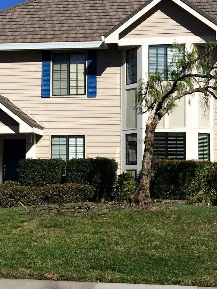 Slide of Whittaker Roofing