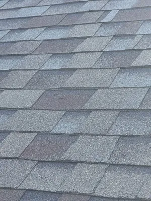 Who’s Your Roofer Logo