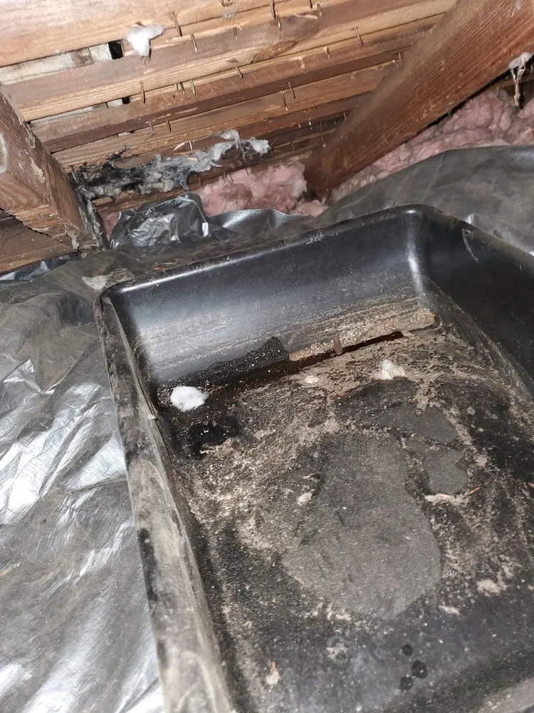 Slide of WHS Home Repair Services