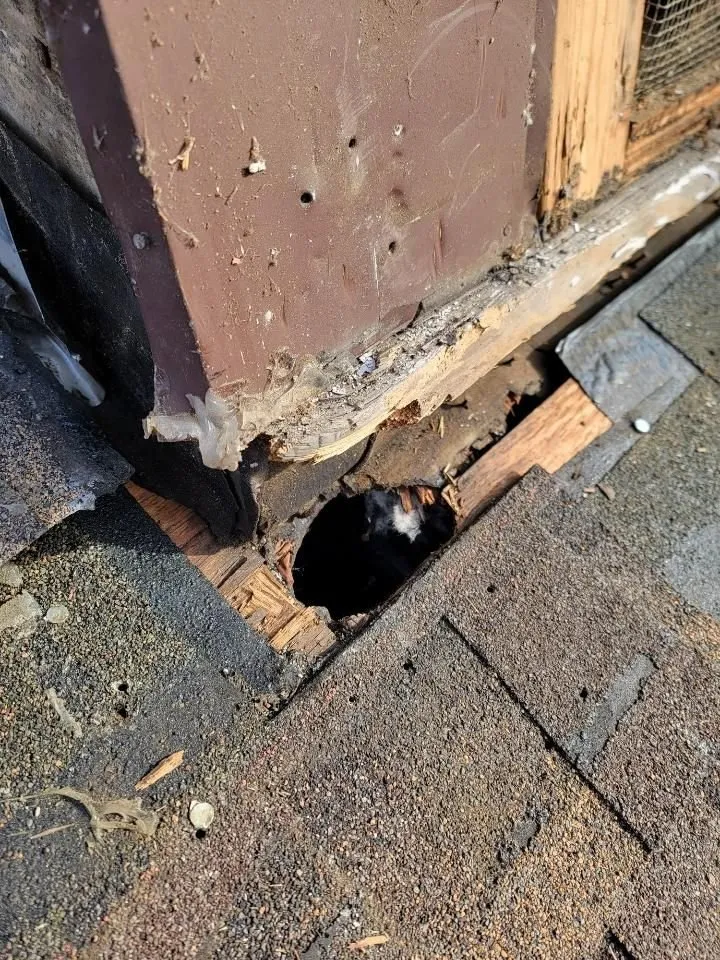 Slide of WHS Home Repair Services