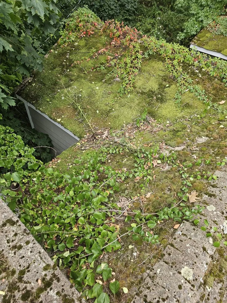 Slide of Wicked Clean Homes