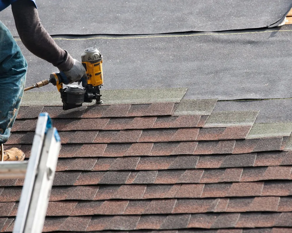 Slide of Wiener Dog Roofing