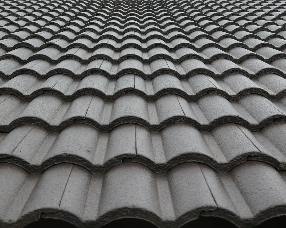 Slide of Wiener Dog Roofing