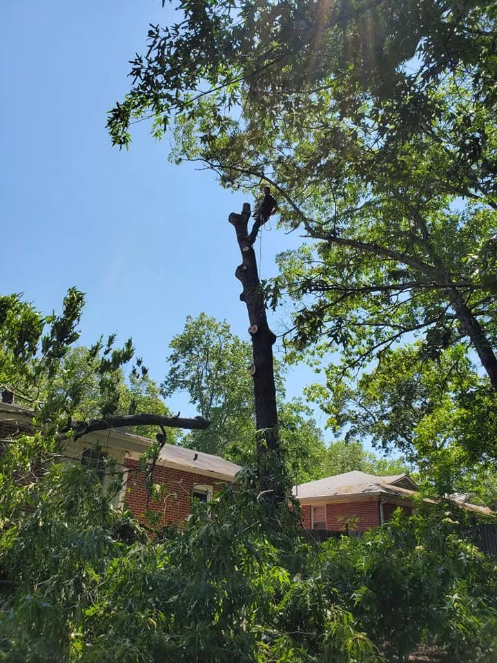 Slide of Wii Care Plus