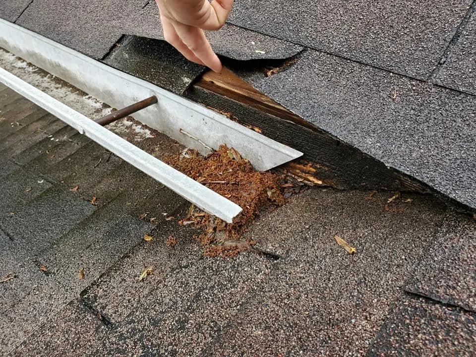 Slide of Wii Care Plus