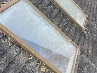 Slide of Wil the Roofer