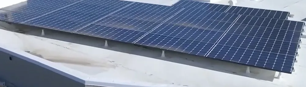 Slide of Wil the Roofer