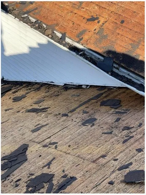 Slide of Wil the Roofer