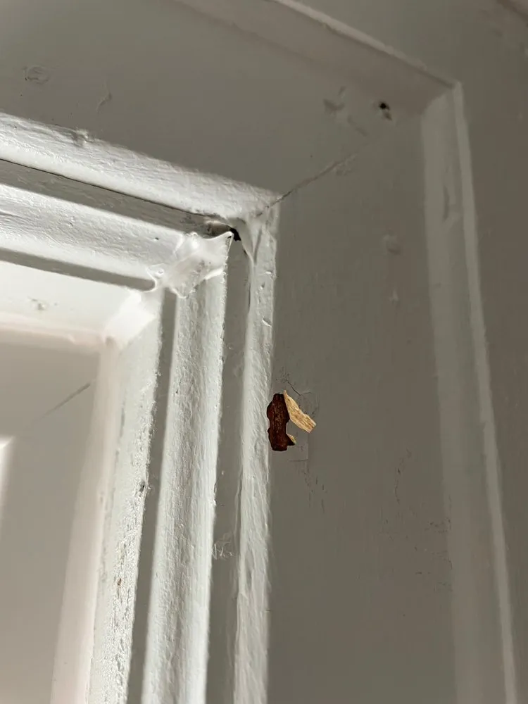 Slide of Wilber's Home Improvements