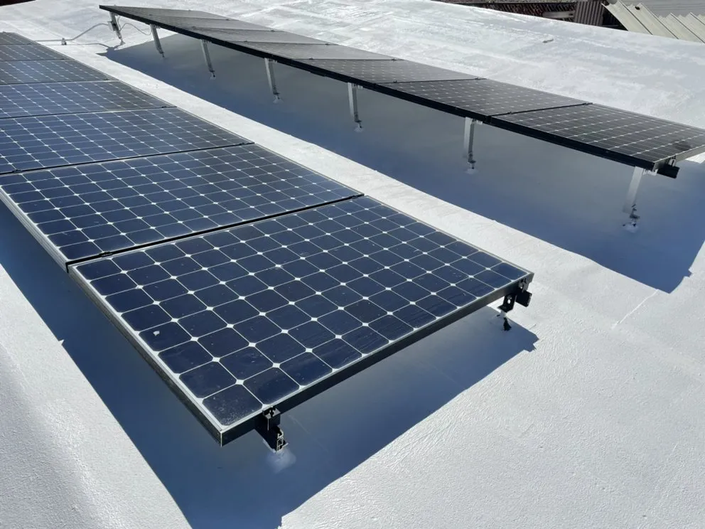 Slide of Wilcoxen and Sons