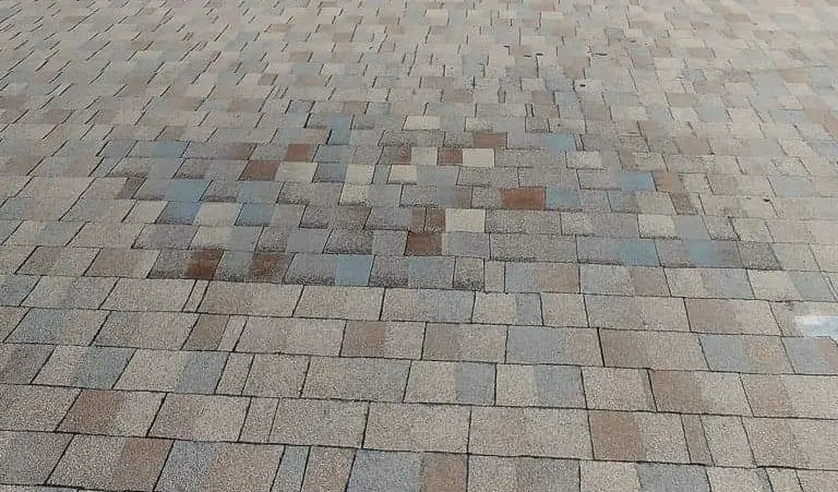 Slide of Wilcoxen and Sons