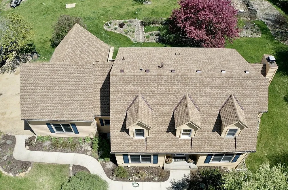 Slide of Wild Construction