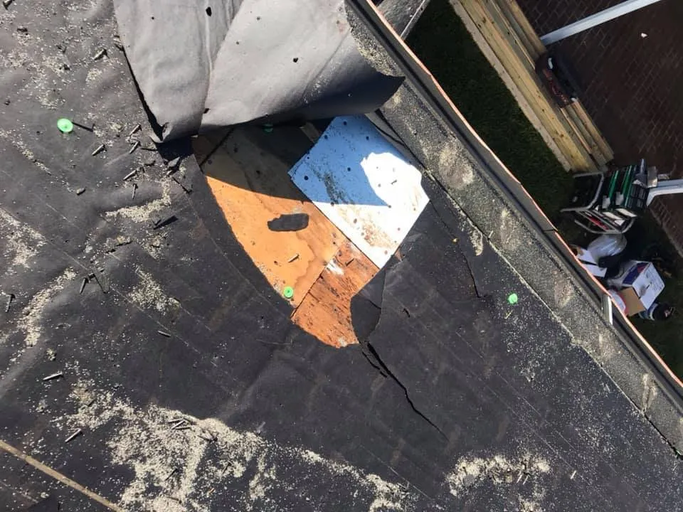 Slide of Wild Roofing