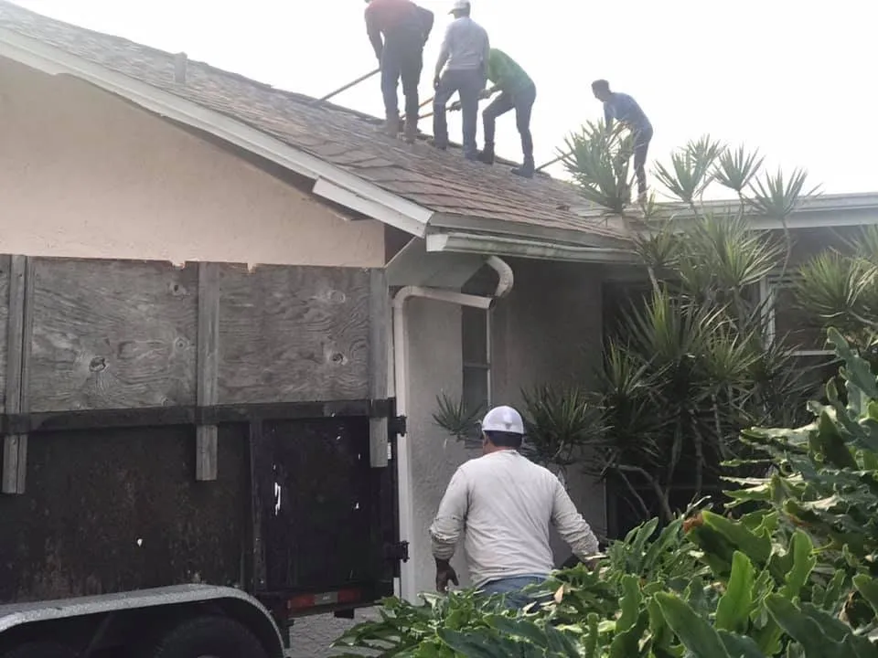 Slide of Wild Roofing