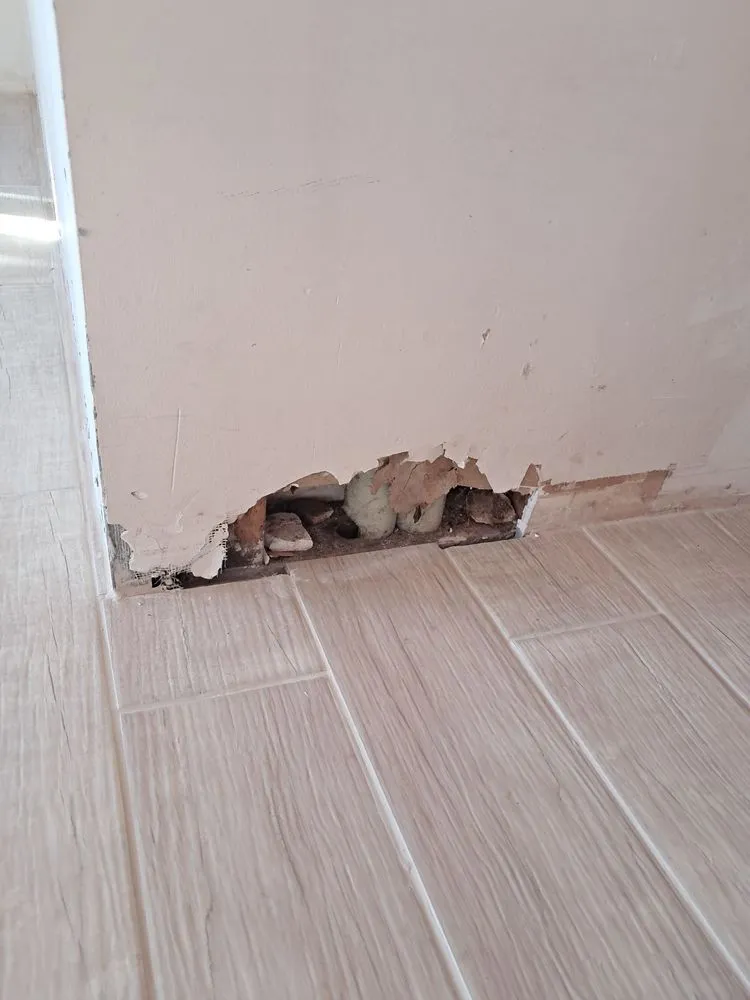 Slide of Willett's Construction