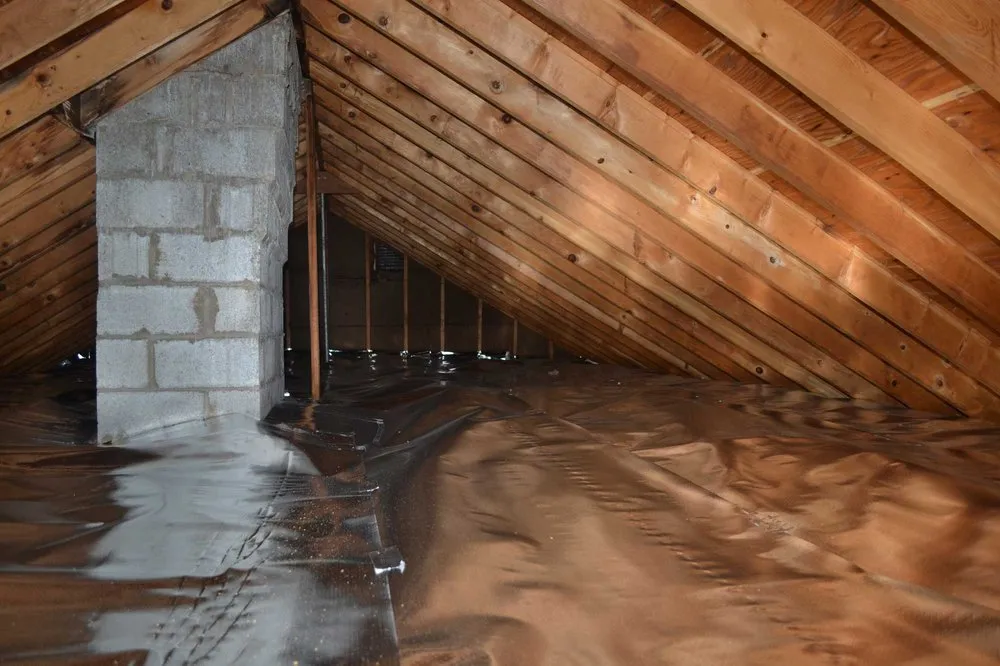 Slide of William C Rott & Son