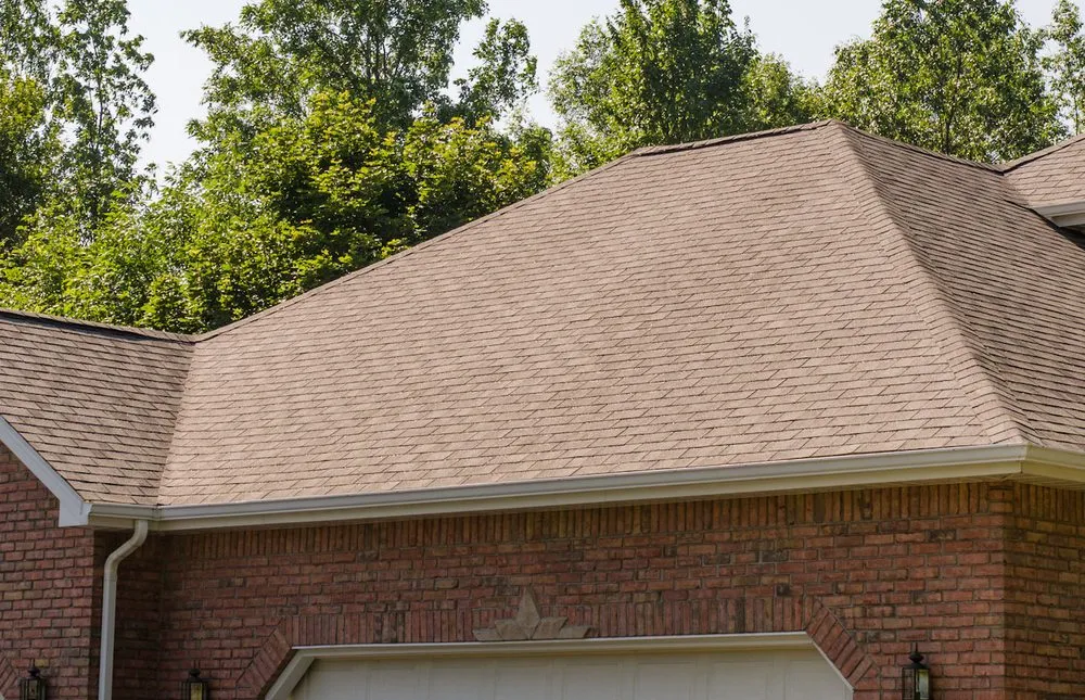 Slide of William C Rott & Son