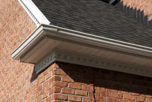 Slide of William C Rott & Son