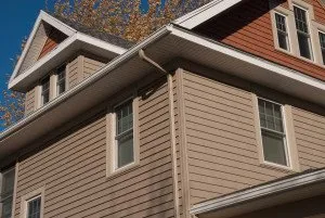 Slide of William C Rott & Son