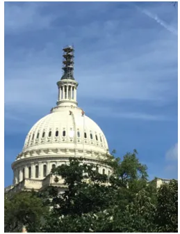 William Mackay Roofing