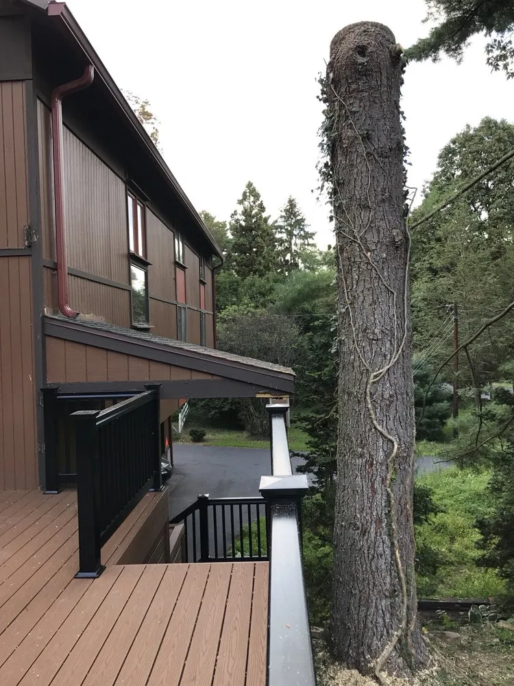Trusted roof installation same-day service in Shermans Dale, PA by William Penn Renovation