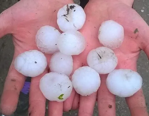 Slide of Williams & Sons Construction