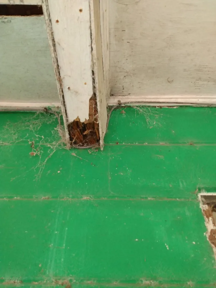 Slide of Williams Building Renovation and handyman