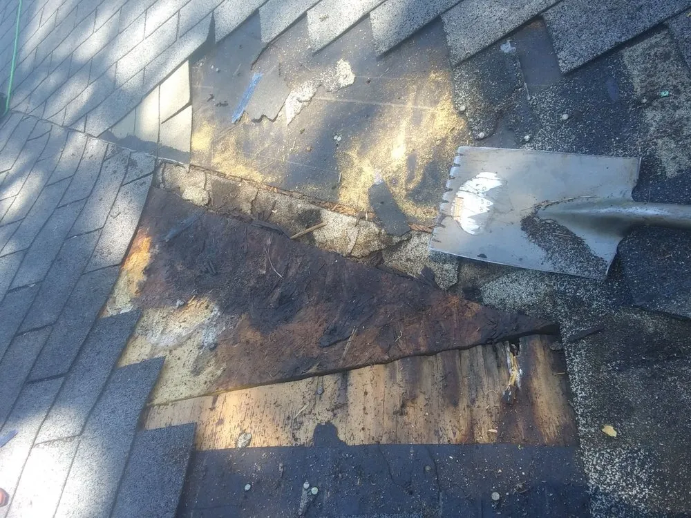 Slide of Williams Custom Construction