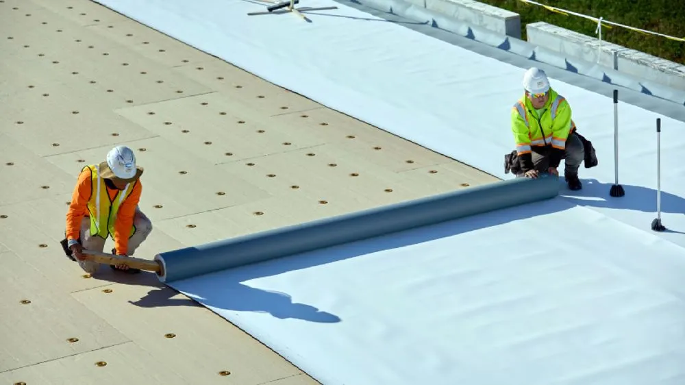 Slide of Williams Eagle