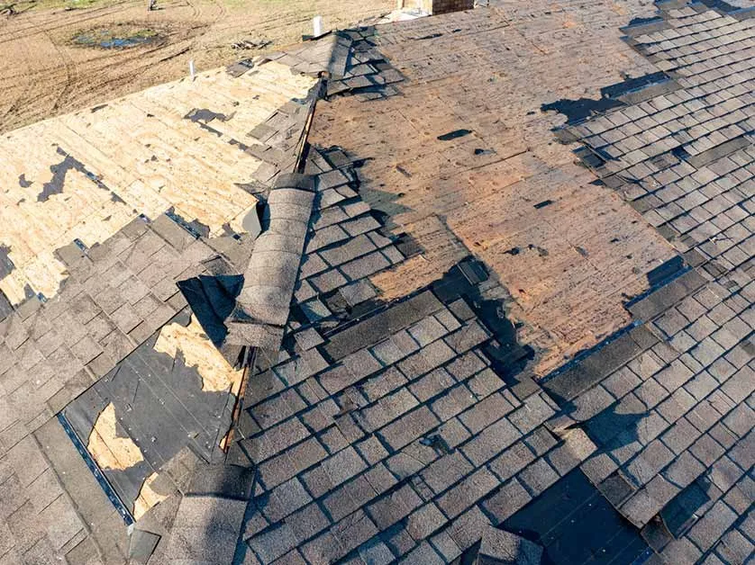 Slide of Williams Eagle