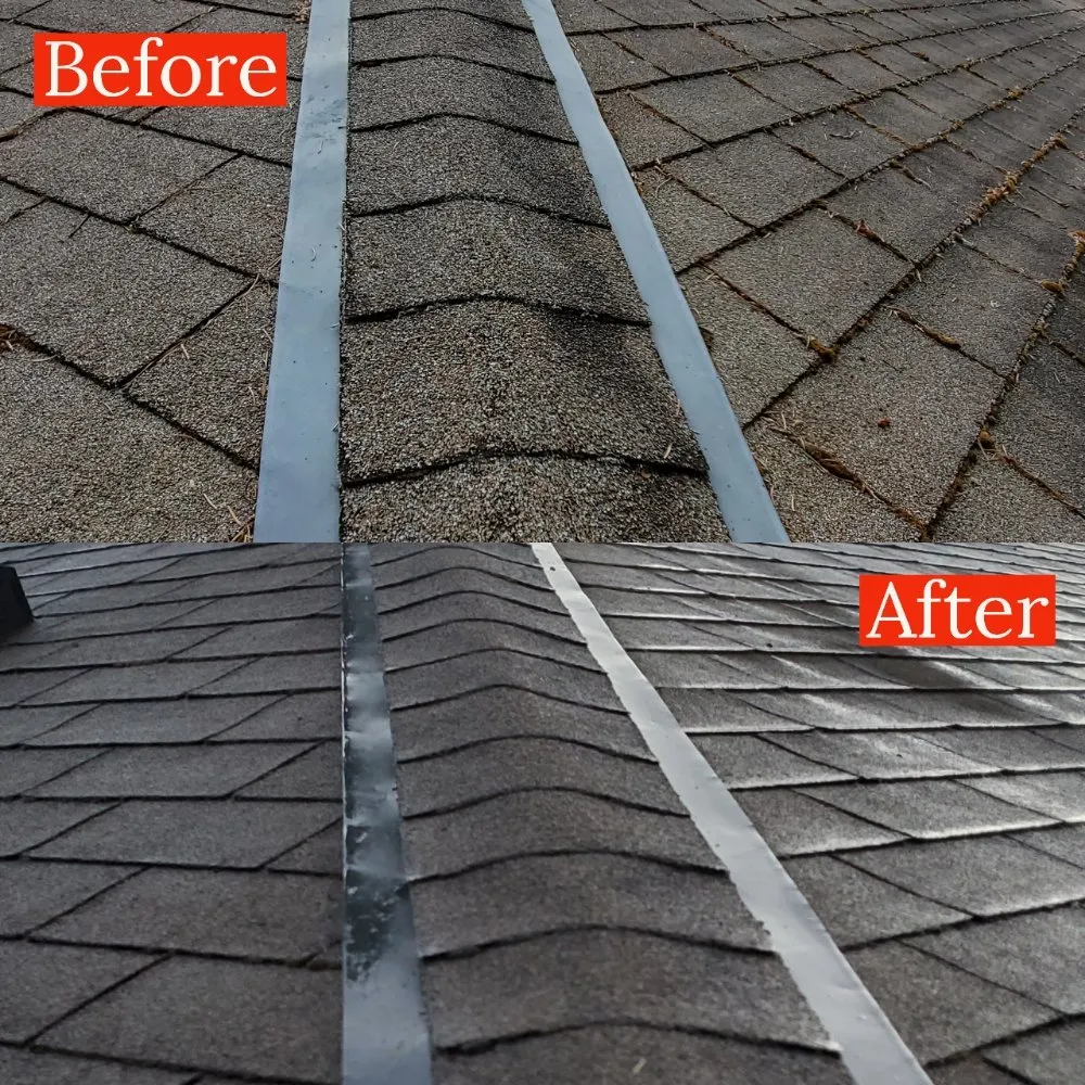 Slide of Williamson Property Maintenance